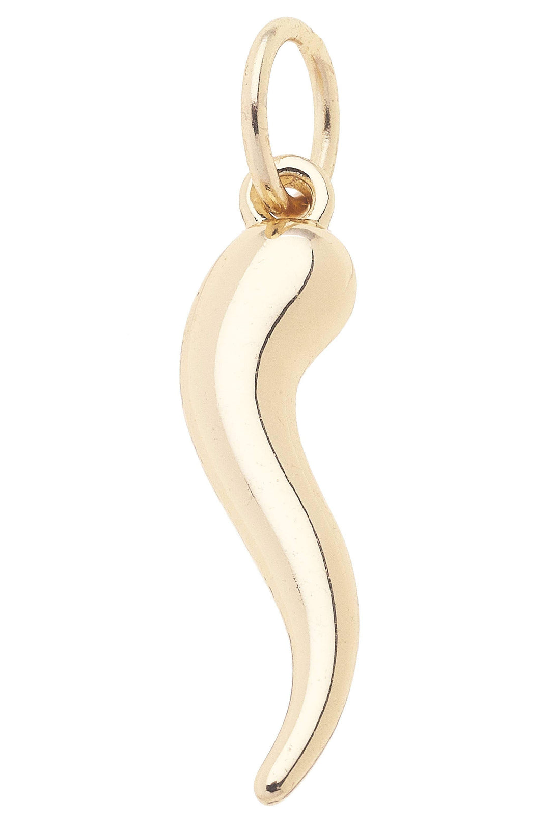 Horn Charm