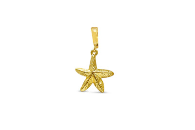 Starfish Clip-on Charm
