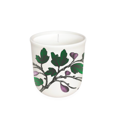 Terrace Fig Candle