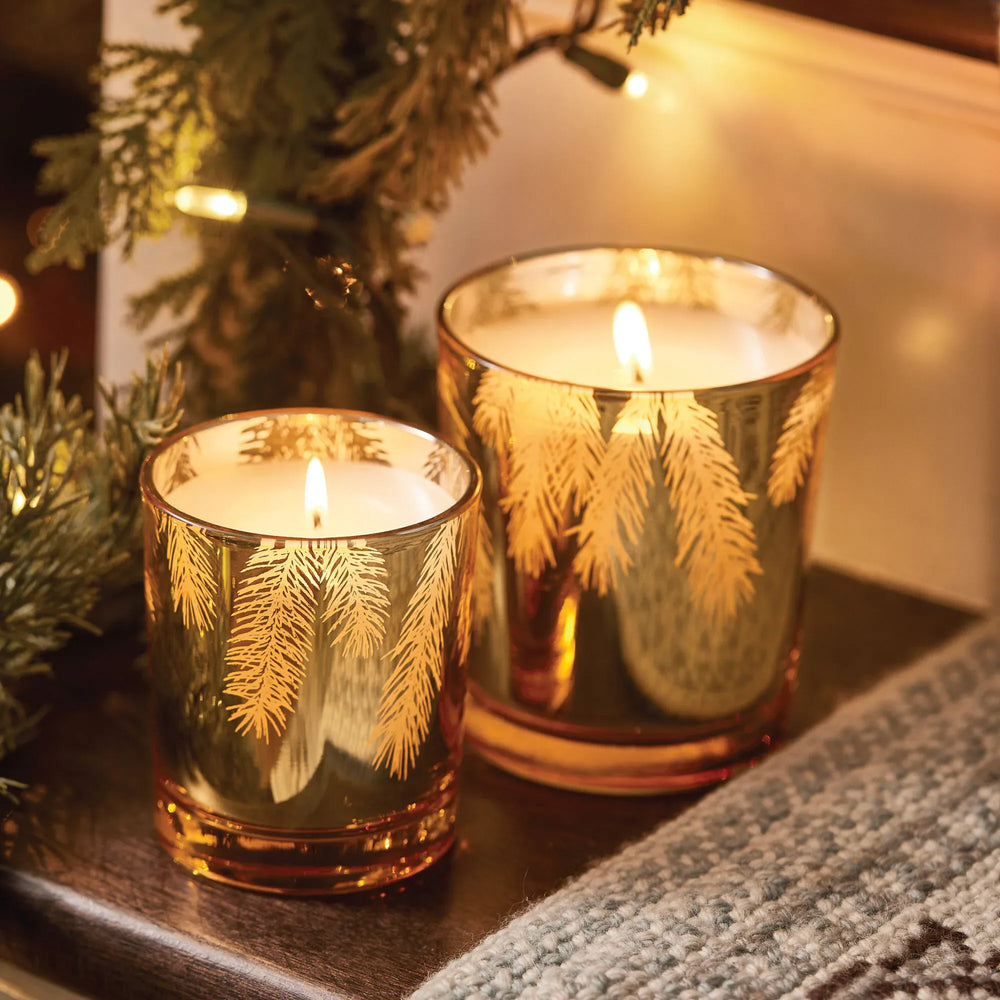 Frasier Fir Gilded 13 oz Poured Candle Thymes Frasier Fir Gilded Gold Poured Candle | 13 oz Candle