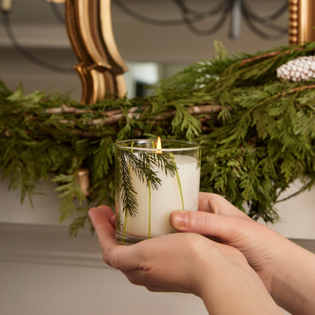 Frasier Fir Pine Needle Candle Thymes Frasier Fir Pine Needle Candle | 6.5 oz Candle