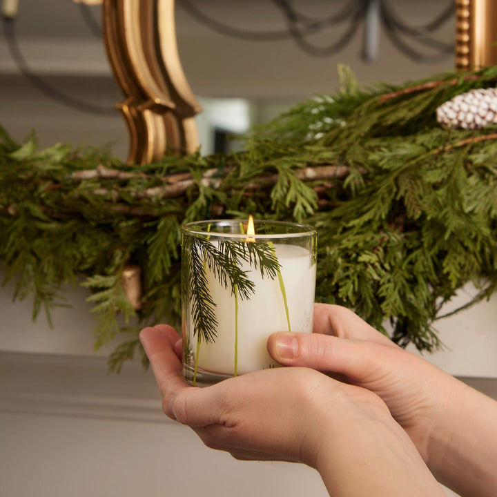 Frasier Fir Pine Needle Candle Thymes Frasier Fir Pine Needle Candle | 6.5 oz Candle