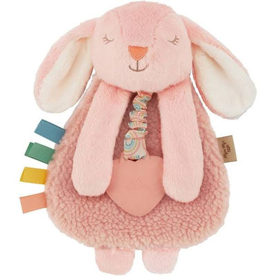 Bunny Plush and Teether Toy